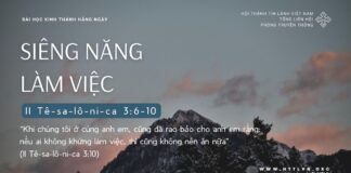 Siêng Năng Làm Việc – 19/9/2024