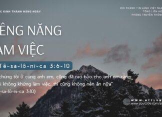 Siêng Năng Làm Việc – 19/9/2024