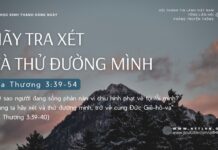 Hãy Tra Xét Và Thử Đường Mình – 23/9/2024