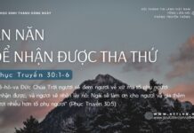 Ăn Năn Để Nhận Được Tha Thứ – 25/9/2024