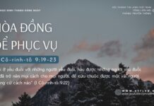 Hòa Đồng Để Phục Vụ – 8/9/2024