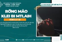 Rơ̆ng Mâo Klei Bi Mtlaih – 11/9/2024