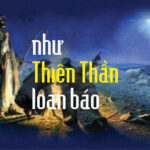 THIEN THAN LOAN BAO