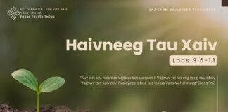 Haivneeg Tau Xaiv – 10/10/2024