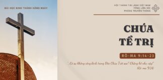 Chúa Tể Trị – 11/10/2024