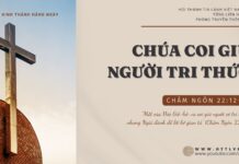 Chúa Coi Giữ Người Tri Thức – 13/10/2024