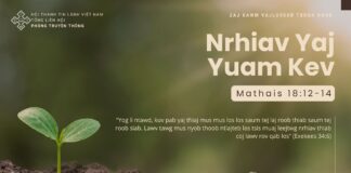 Nrhiav Yaj Yuam Kev – 17/10/2024