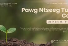 Pawg Ntseeg Tus Cai – 19/10/2024