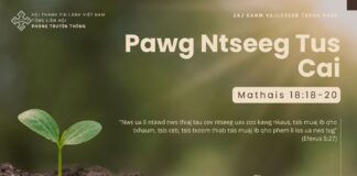 Pawg Ntseeg Tus Cai – 19/10/2024