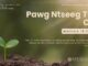 Pawg Ntseeg Tus Cai – 19/10/2024