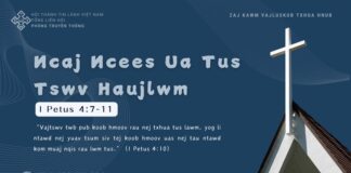 Ncaj Ncees Ua Tus Tswv Haujlwm – 1/11/2024