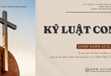 Kỷ Luật Con – 20/10/2024