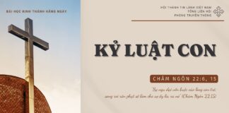 Kỷ Luật Con – 20/10/2024