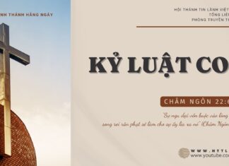 Kỷ Luật Con – 20/10/2024