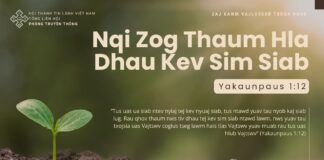Nqi Zog Thaum Hla Dhau Kev Sim Siab – 22/10/2024