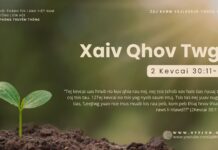 Xaiv Qhov Twg? – 24/10/2024