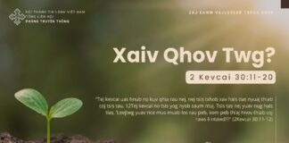 Xaiv Qhov Twg? – 24/10/2024
