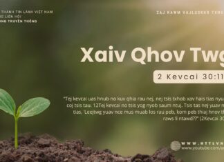 Xaiv Qhov Twg? – 24/10/2024