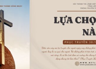 Lựa Chọn Nào – 24/10/2024