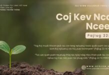 Coj Kev Ncaj Ncees – 27/10/2024