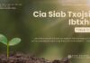 Cia Siab Txojsia Ibtxhis – 29/10/2024