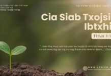 Cia Siab Txojsia Ibtxhis – 29/10/2024