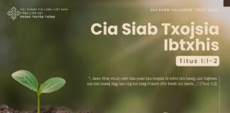 Cia Siab Txojsia Ibtxhis – 29/10/2024