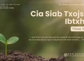 Cia Siab Txojsia Ibtxhis – 29/10/2024