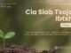 Cia Siab Txojsia Ibtxhis – 29/10/2024