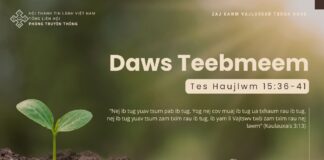 Daws Teebmeem – 3/10/2024