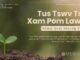 Tus Tswv Tsis Xam Pom Lawm – 30/10/2024