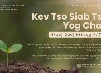 Kev Tso Siab Tsis Yog Chaw – 31/10/2024