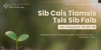 Sib Cais Tiamsis Tsis Sib Faib – 4/10/2024
