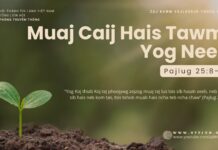 Muaj Caij Hais Tawm: Yog Neeg – 8/10/2024