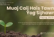 Muaj Caij Hais Tawm: Yog Sijhawm – 9/10/2024