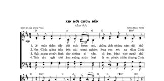 Bài hát Giáng sinh: XIN MỜI CHÚA ĐẾN