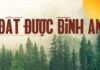 Thơ: ĐẤT ĐƯỢC BÌNH AN