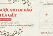 Được Sai Đi Vào Mùa Gặt – 1/12/2024