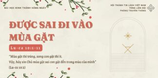 Được Sai Đi Vào Mùa Gặt – 1/12/2024