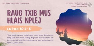 Raug Txib Mus Hlais Nplej – 1/12/2024