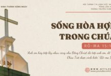Sống Hòa Hợp Trong Chúa – 10/11/2024