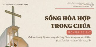 Sống Hòa Hợp Trong Chúa – 10/11/2024