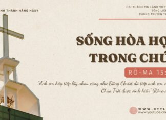 Sống Hòa Hợp Trong Chúa – 10/11/2024