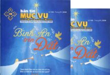 Bản Tin Mục Vụ 103: “BÌNH AN TRÊN ĐẤT”