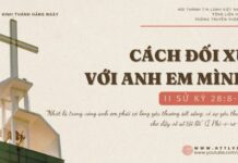 Cách Đối Xử Với Anh Em Mình – 11/11/2024