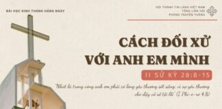 Cách Đối Xử Với Anh Em Mình – 11/11/2024