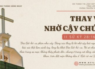 Thay Vì Nhờ Cậy Chúa – 12/11/2024