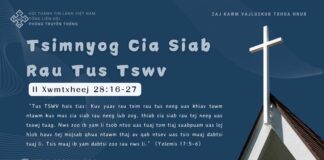 Tsimnyog Cia Siab Rau Tus Tswv – 12/11/2024