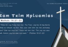 Zam Txim Npluamias – 14/11/2024