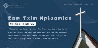 Zam Txim Npluamias – 14/11/2024